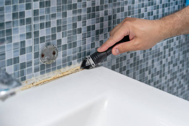 Best Localized Mold Remediation (e.g., coastal areas, humid climates) in Fox Chase, PA